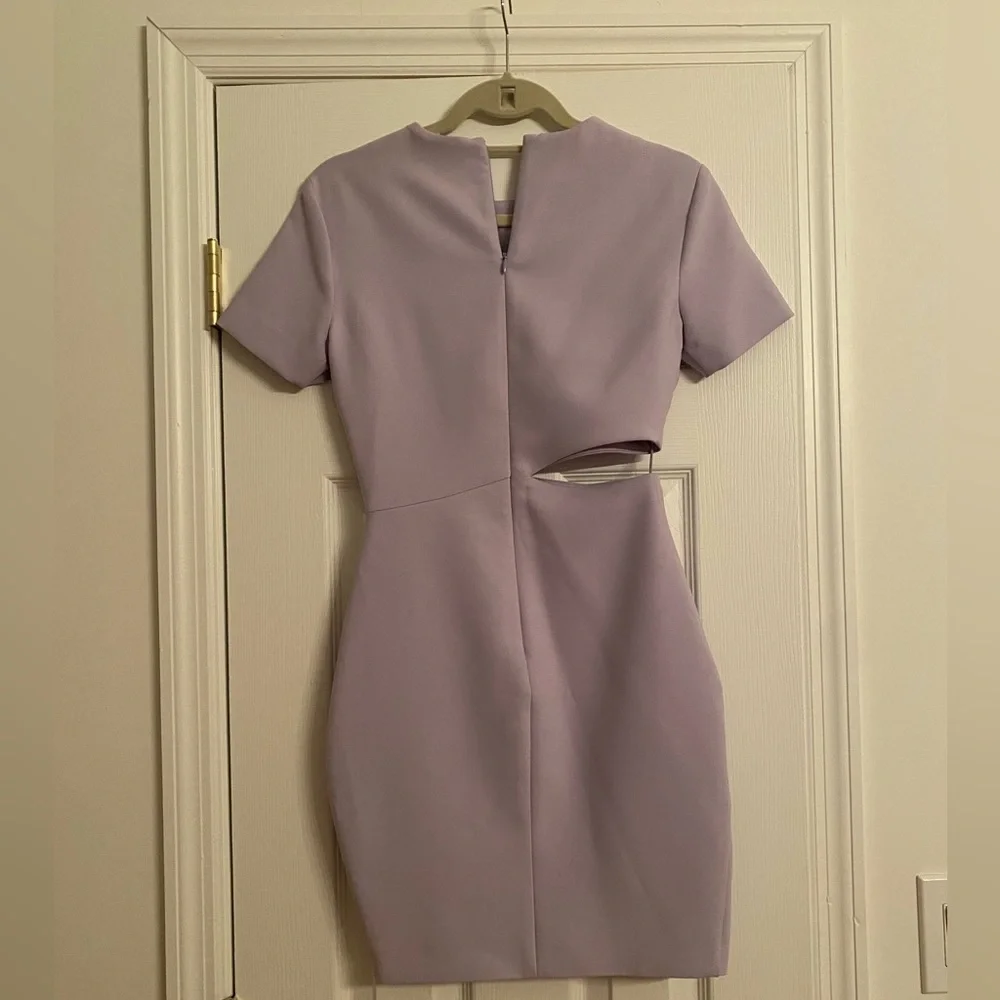 Elizabeth and James Aiala Dress NWT - Picture 4 of 7